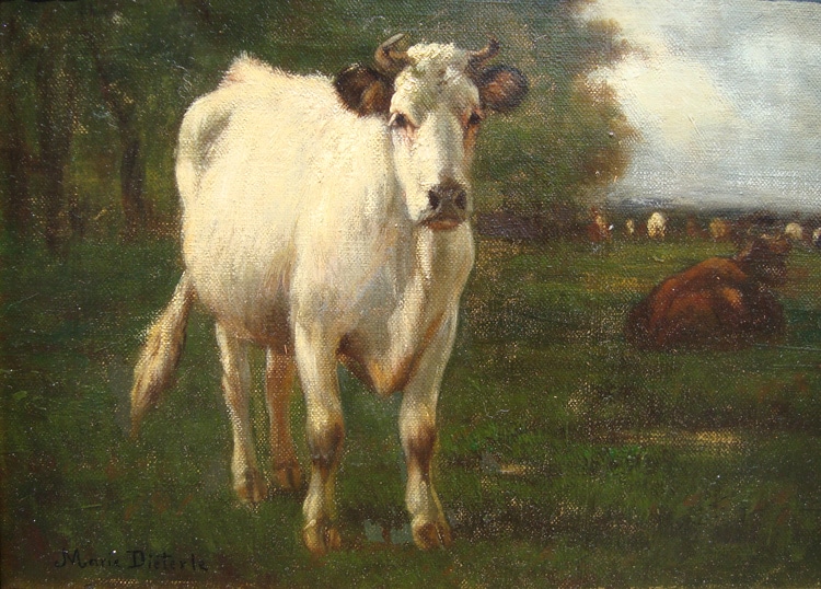 “Cow in Pasture”