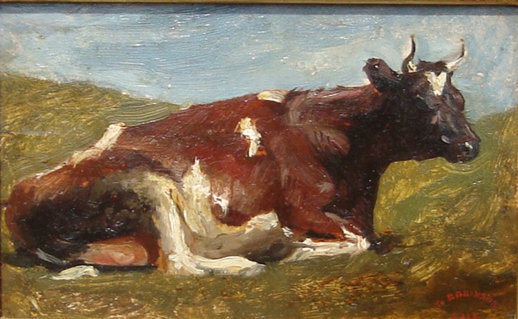 “Cow Resting