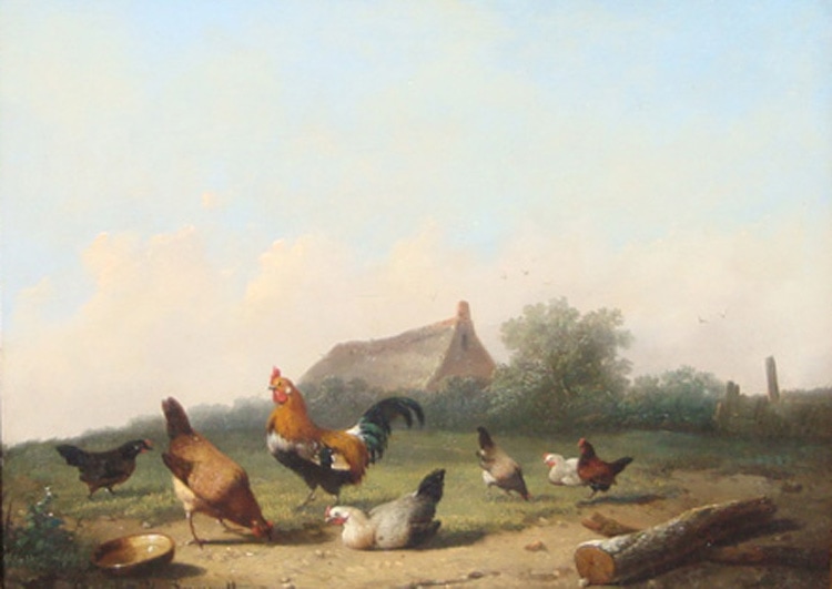 “Roosters and Hens”