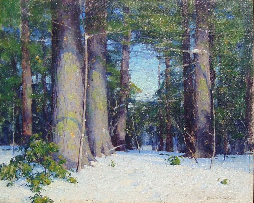“Forest in Winter”