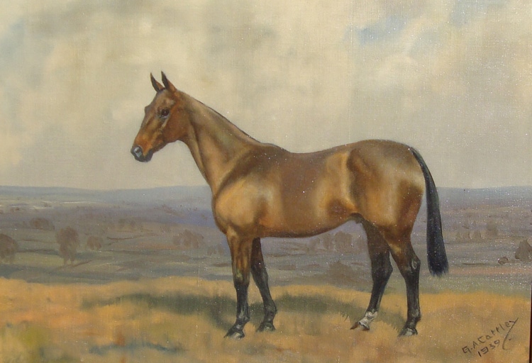 “Portrait of a Horse in Landscape”