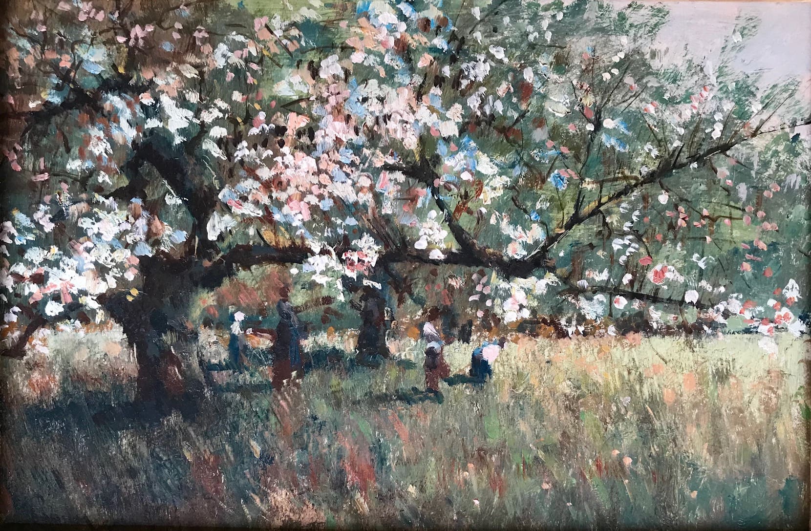 Donald Purdy's Cherry Blossoms. A beautiful cherry tree in full blossom. Children play beneath