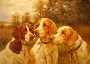 Rimaeyer's English Pointers. Three bird dogs sit in front of a row of trees. The landscape is bathed in golden light.