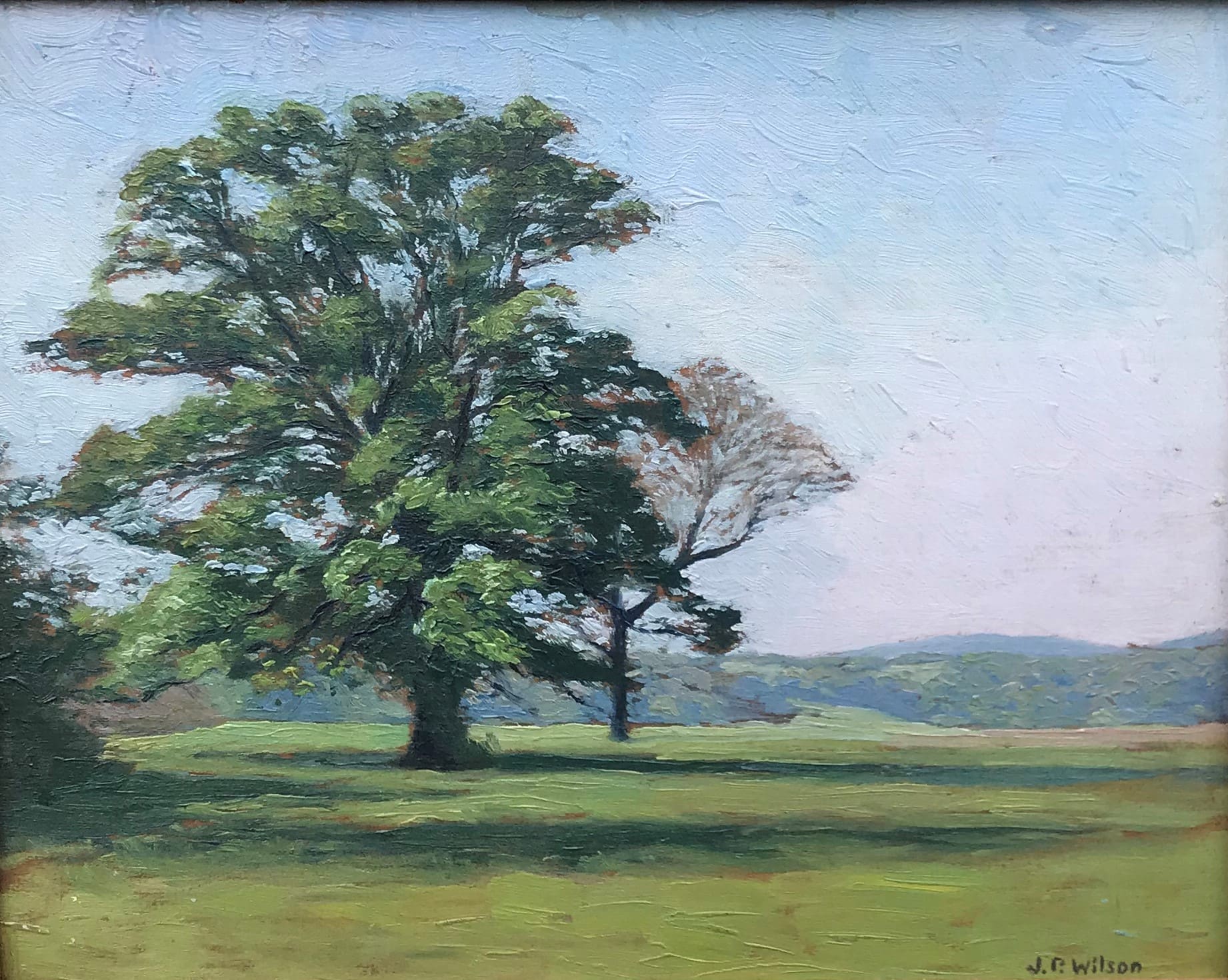 J. P. Wilson's Landscape with Summer Trees